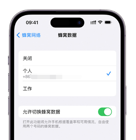 湘桥苹果维修服务分享如何在iPhone上使用双卡 